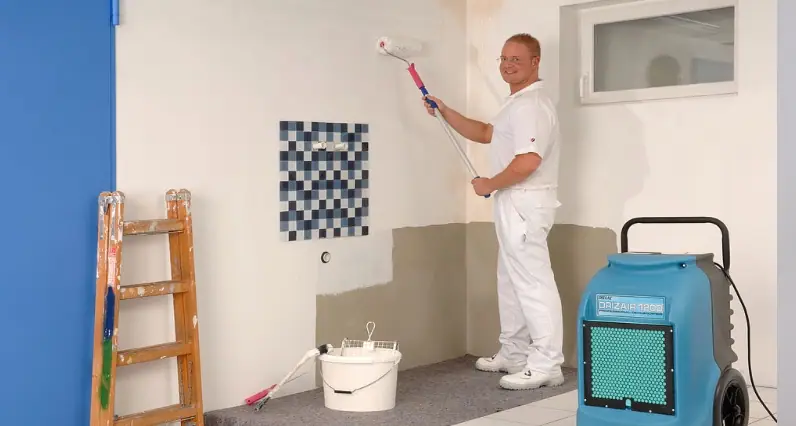 Facharbeiter bei Malerarbeiten an einer Wand, mit Rolle, Leiter und Trocknungsgerät